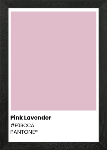 Pink lavender pantone color - lavender,