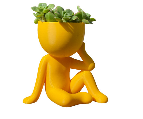 Thinker head planter - thinker,