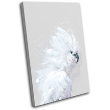 White Cockatoo Exotic Bird