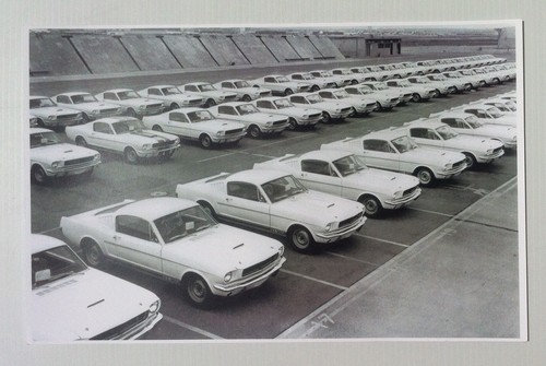 1965 shelby gt350 mustang - 1965,