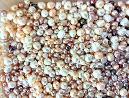 Job lot freshwater pearls - of,