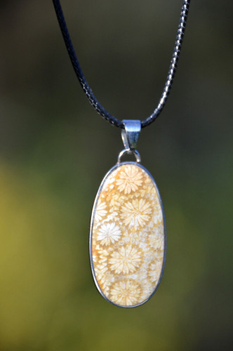 Stunning fossil coral pendant - stunning,