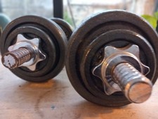 PRO POWER CAST IRON DUMBELLS -