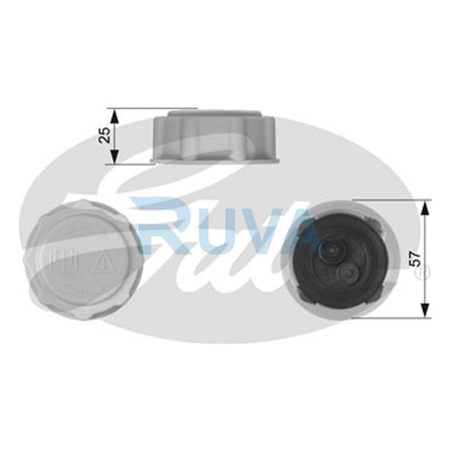 Fits ford fiesta focus - fits, ka