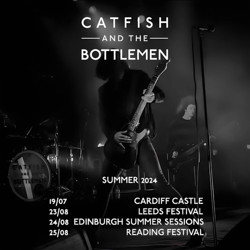 Catfish and the bottlemen - catfish,