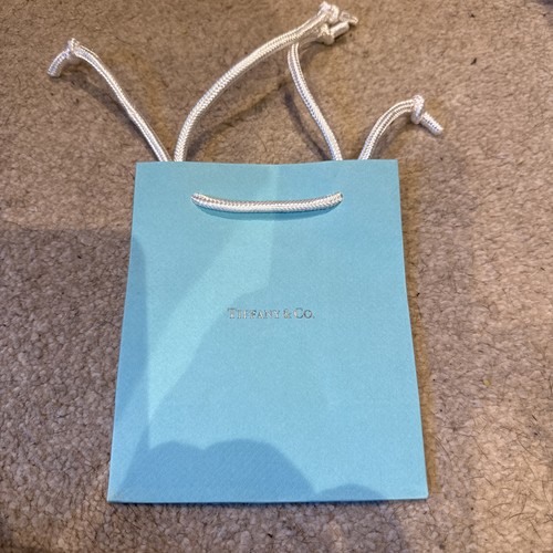 Tiffany small carrier - tiffany, &