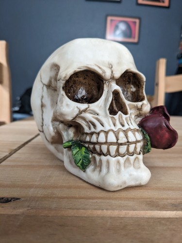 Resin skull ornament - skull,