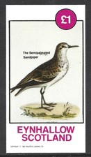 Eynhallow Scotland, 1982, £1 Bird, Sandpiper, MNH Imperf M/S Sheet #M2652