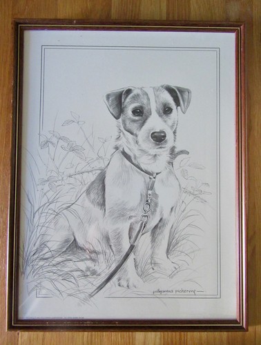 Pollyanna pickering 1983 repro - pollyanna,