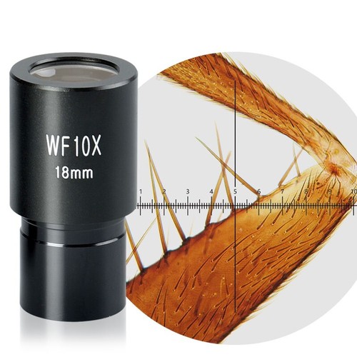 10x 2mm widefield eyepiece - 23.2mm,