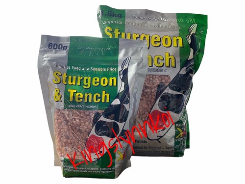 5kg sturgeon tench - sturgeon,