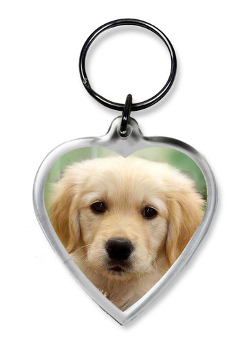 Dog keyrings heart shape - keyrings,