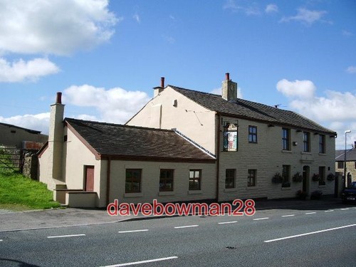Photo the pack horse elton - horse,