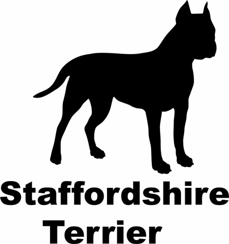 Staffordshire terrier - staffordshire,