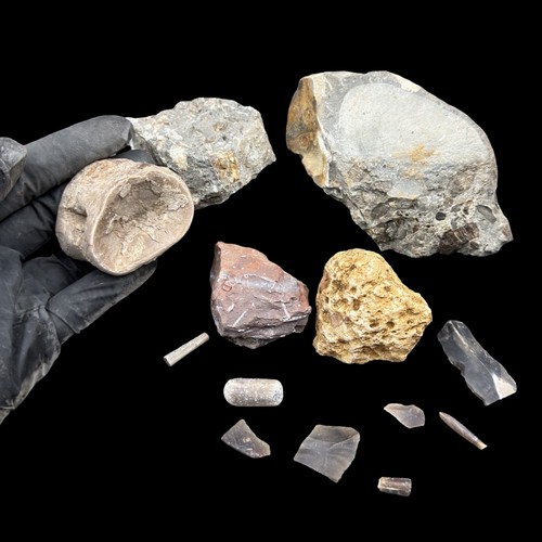 1kg british fossil - british, 13