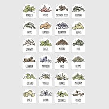 24 x 2 Herbs & Spices Jar