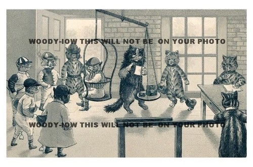 Rp10199 louis wain cats - -,