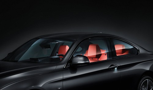 Bmw genuine interior - bmw,