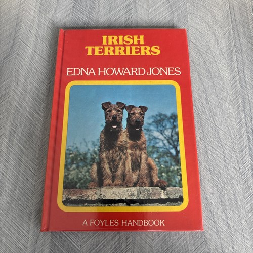 Irish terriers pets - terriers, (pets