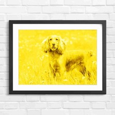 Cute Red Cocker Spaniel Dog