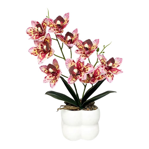 Lifelike pink cymbidium orchid - pink,