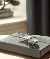 NEXT Dragonfly Trinket Dish