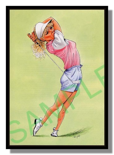 Framed picture jan stephenson - picture,