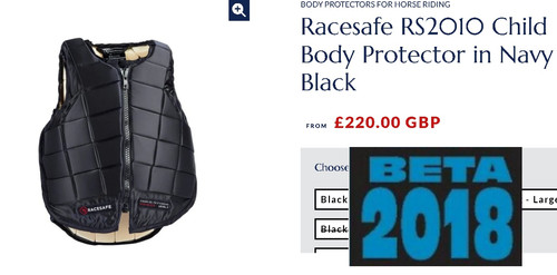 Racesafe 2018 body protector - body,