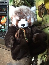 Roxie The Charlie bear