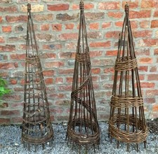 Willow Garden Obelisks Plant