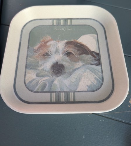 The little dog laughed - dog, scruffy