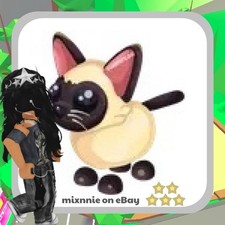 Adopt From Me - Siamese Cat