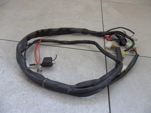 Iame x30 wiring harness - wiring, loom