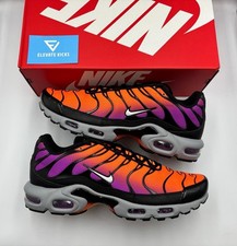 Nike Air Max Plus TN Desert