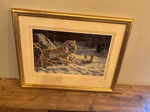 Stephen gayford signed tiger - stephen,