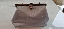 Farfalla Silver Evening Clutch