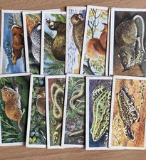 British Wild Life "Brooke Bond