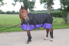  New LightWeight Black/Purple