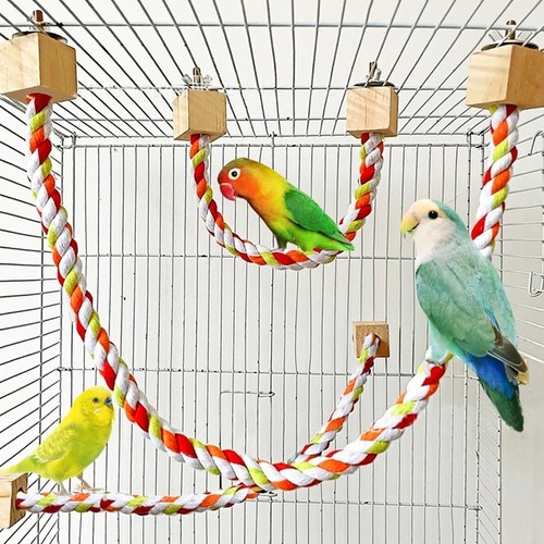 Pet bird bite - bite, parrot