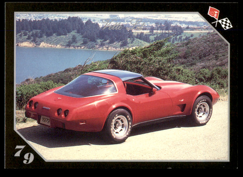 1979 corvette sport coupe - 1979, #50