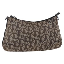 Christian Dior Trotter Canvas