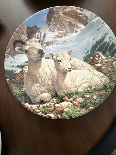 Royal grafton fine bone china - grafton,