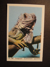 DANDY GUM WILD ANIMALS DANISH