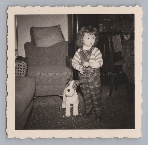 Steiff fox terrier - fox, on