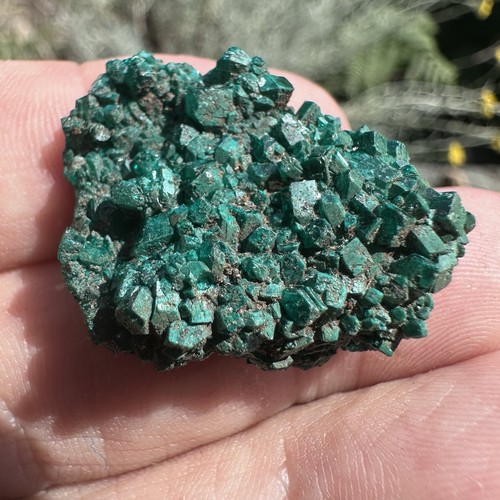 Dioptase crystal cluster - dioptase,