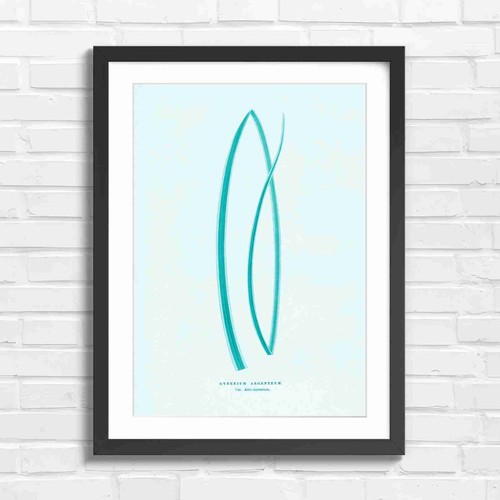 Vintage botanical gynrium - vintage,