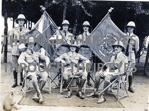 Dvd scans ww1 british officers - scans,