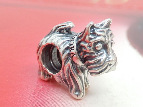Authentic pandora sterling - authentic,