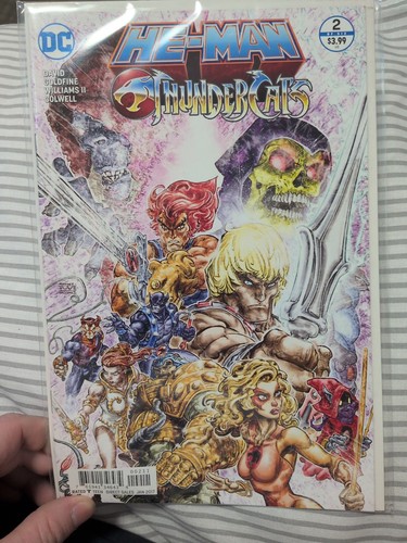 Man thundercats 2 comic - he-man,