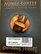 Swan Knights of Dol Amroth